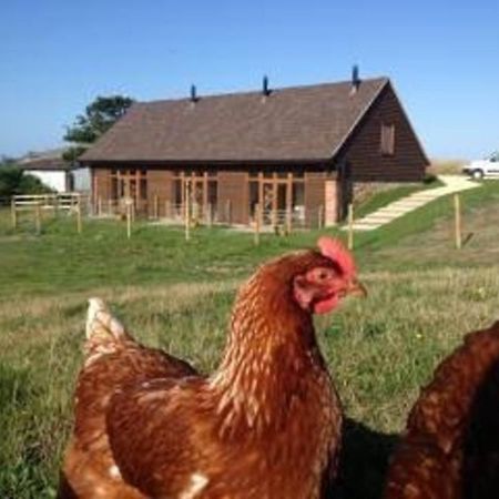 Bike Shed - Beautiful 1-Bed Cottage In Shorwell Ngoại thất bức ảnh